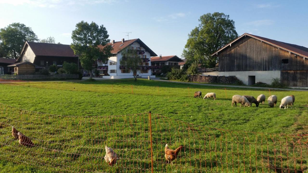 Privatunterkunft Woidhauserhof *